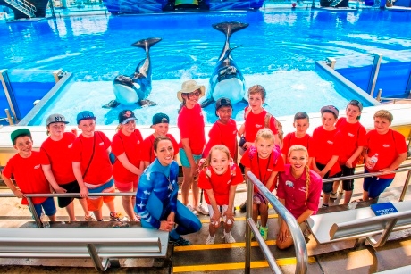 Pupils get up close to killer whales at SeaWorld Orlando